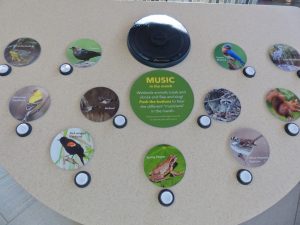 Soundboard display of nature music